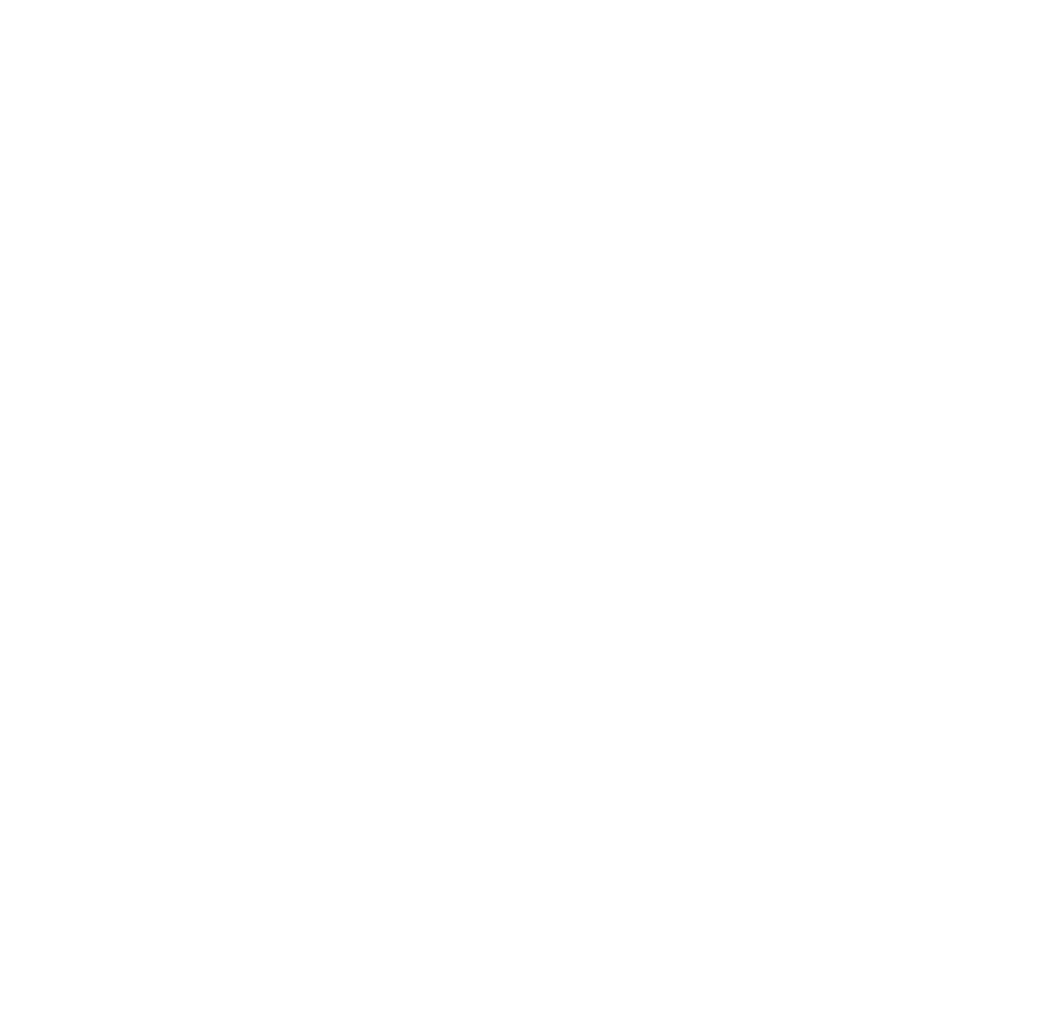 Background Check Icon
