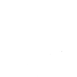 Background Check Icon